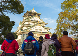 image of Group Tour arrangement
