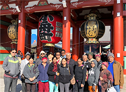 image of Group Tour arrangement