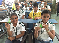 image of Study Tour arrangement