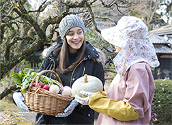 image of Study Tour arrangement